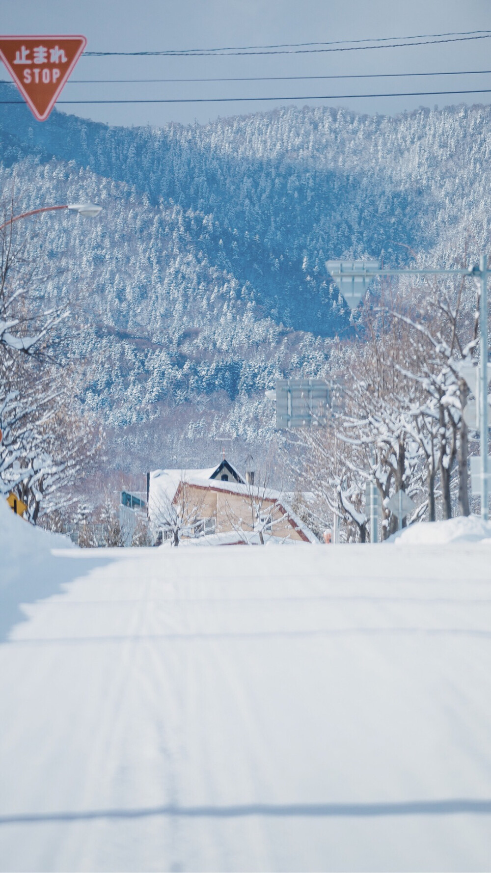 雪 冬季 壁纸