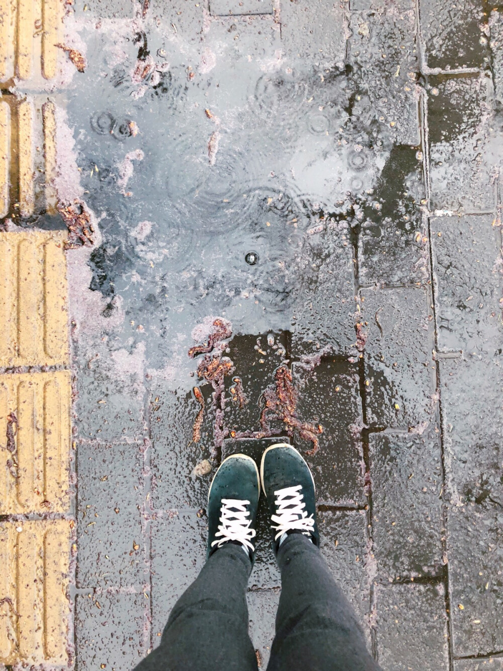 4月的雨加雪