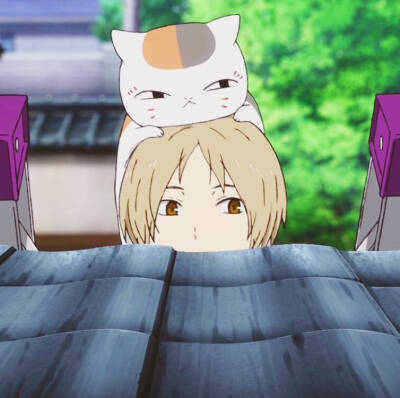 夏目与斑的日常