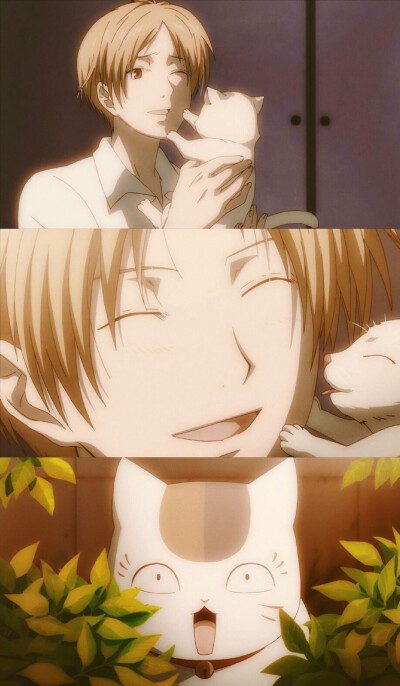 夏目与斑的日常