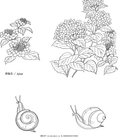 图片来自百度，侵权必删