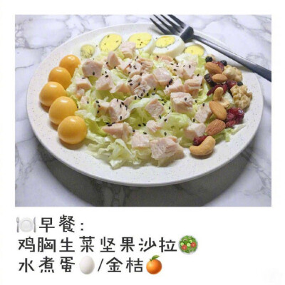 减肥餐