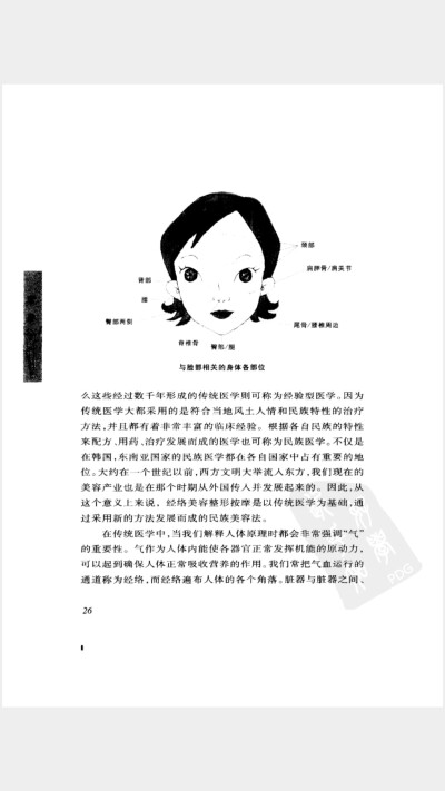 面部与身体的联系