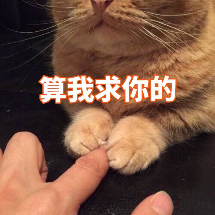 猫咪表情包-♡