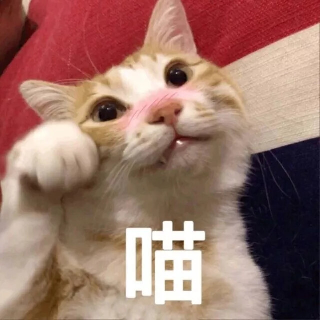 猫咪表情包-♡