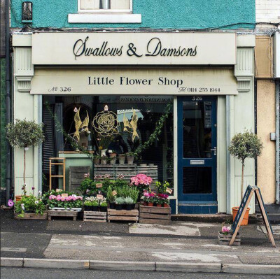 Swallows and Damsons 花艺店