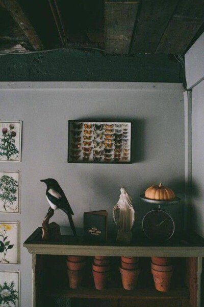 Swallows and Damsons 花艺店