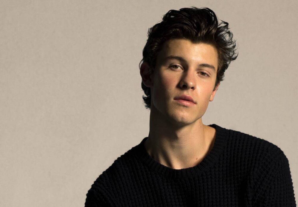 shawnmendes