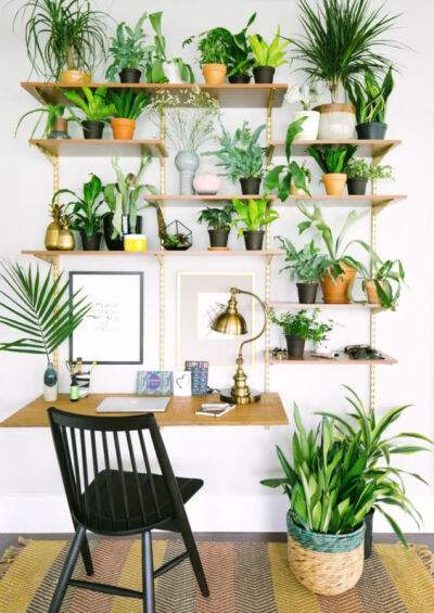 把家打造成一个室内小花园是什么样子的呢？绿色植物清新怡人，置身在这样的环境下，无论是工作还是休息，感觉都能事半功倍呢！