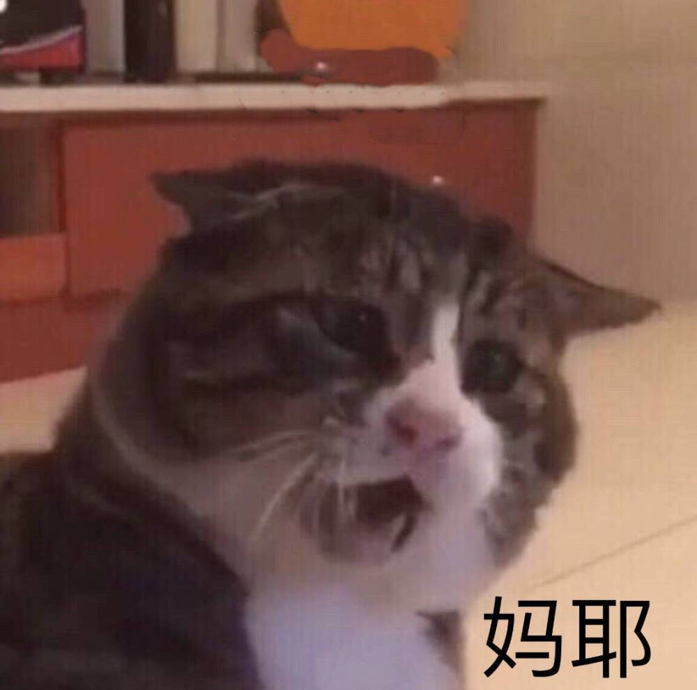 小表情/熊猫头/