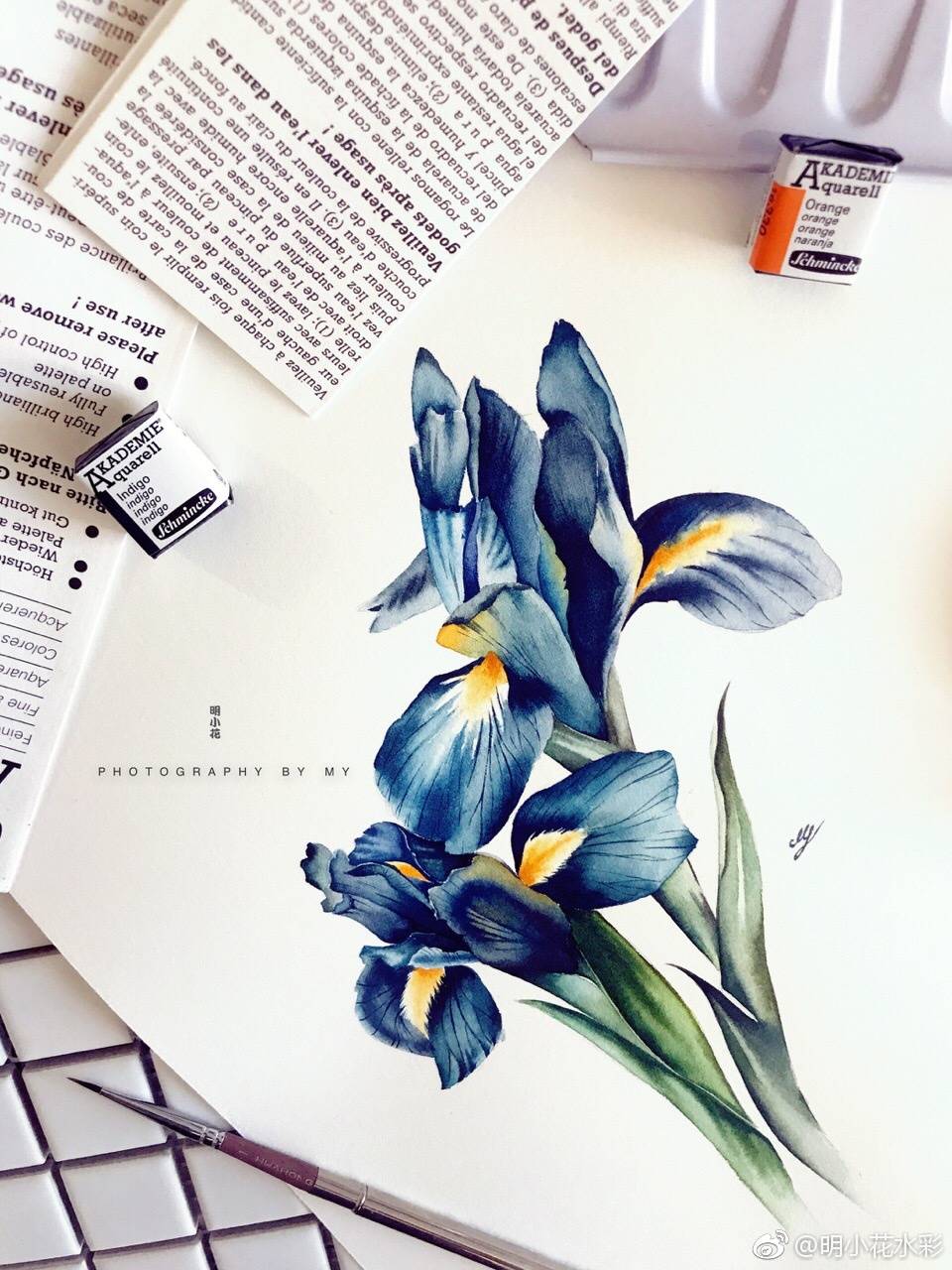 明小花，水彩画，花卉