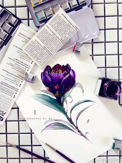 明小花，水彩画，花卉