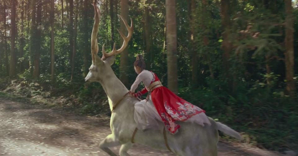 颖家人不分离 南怀谨