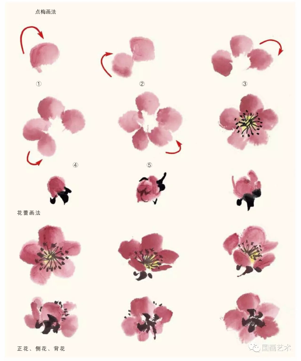梅花花朵的画法步骤图片
