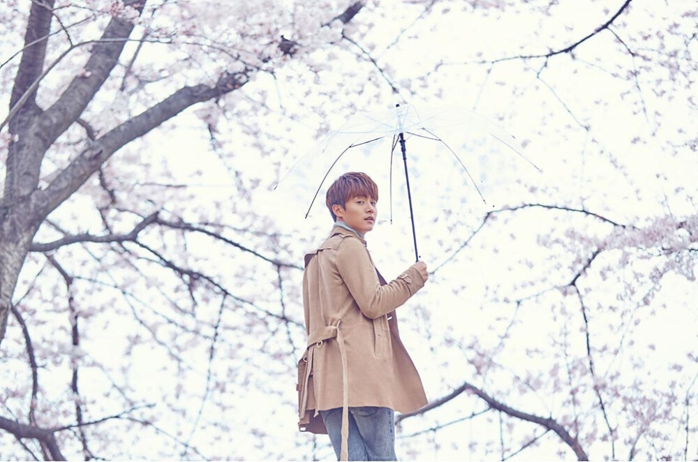 马天宇 我本浪人