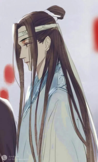 魔道祖师 忘羡 蓝忘机 魏无羡