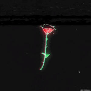 默认专辑