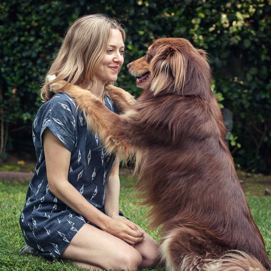 阿曼达·塞弗里德 Amanda Seyfried