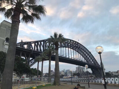 悉尼歌剧院 海港大桥