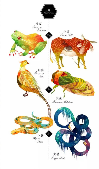 二十四节气漫画
画师：Cinyee Chiu ​​​