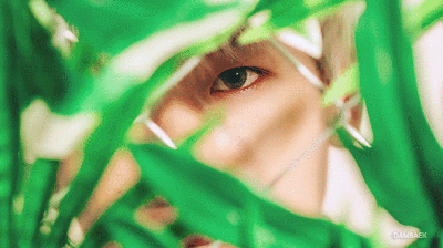 边伯贤
CBX
预告