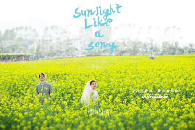 【樱花树婚纱摄影】——花海风格，烂漫春天+与美相伴️