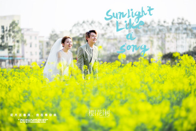 【樱花树婚纱摄影】——花海风格，烂漫春天+与美相伴️