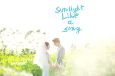 【樱花树婚纱摄影】——花海风格，烂漫春天+与美相伴️