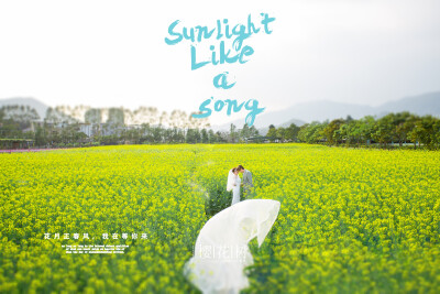 【樱花树婚纱摄影】——花海风格，烂漫春天+与美相伴️