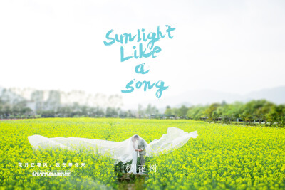 【樱花树婚纱摄影】——花海风格，烂漫春天+与美相伴️