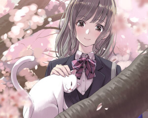 猫なで桜 绘师：YahaKo やはこ(pixiv id=33530) 本作品pixiv id=68074322