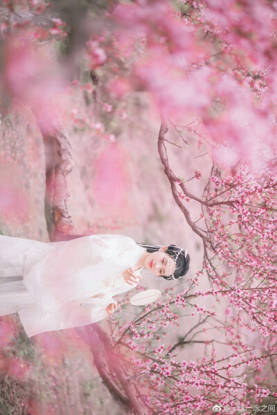 [cp]花开花谢谁相知？
终究却物是人非。
出镜@Jin琳琳_
摄影@一念一念之间
老师@知竹zZ @疯子Charles
抄送@成都摄影推荐 @成都约拍馆 @汉服写真集
#四川约拍##成都约拍##汉服写真##汉服摄影# ​​​[/cp]