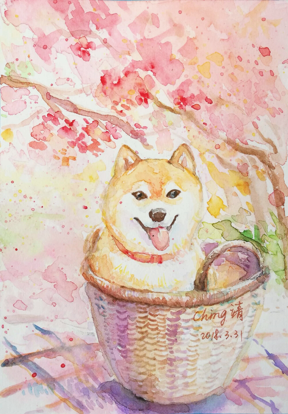 秋田犬水彩画 狗狗