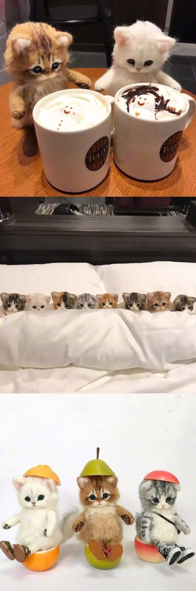 羊毛毡做的萌宠