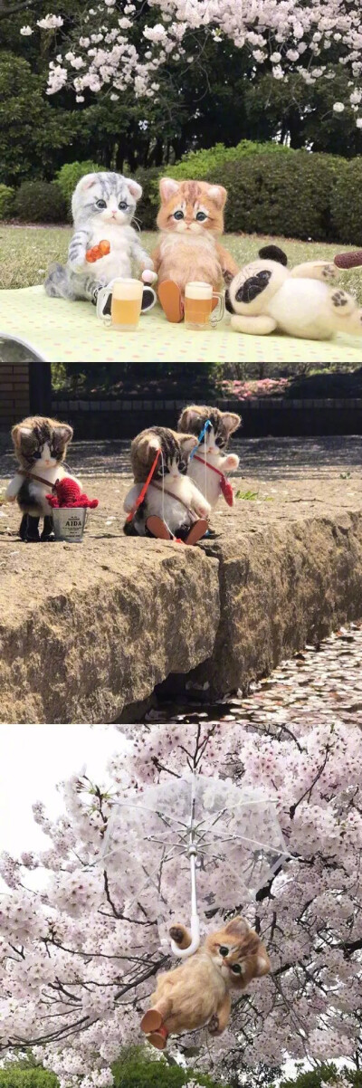 羊毛毡做的萌宠