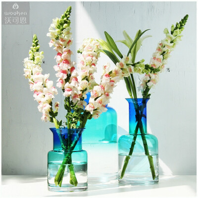 沃可恩WOOKEN马尔代夫人吹手工玻璃花瓶透明水培瓶盆景花房