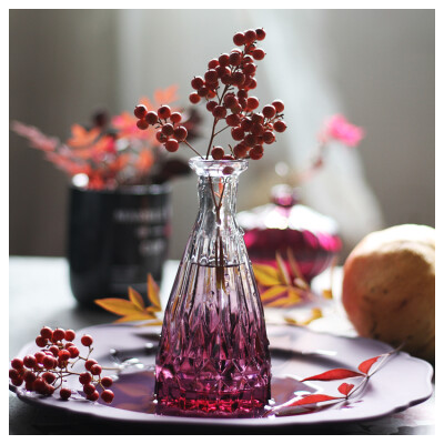 WOOKEN水晶玻璃MINI迷你精致厚重小花瓶渐变色水培花瓶干花花器