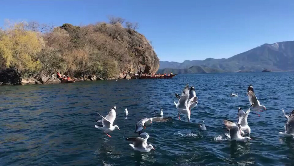 泸沽湖的水