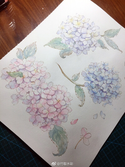 竹取水彩