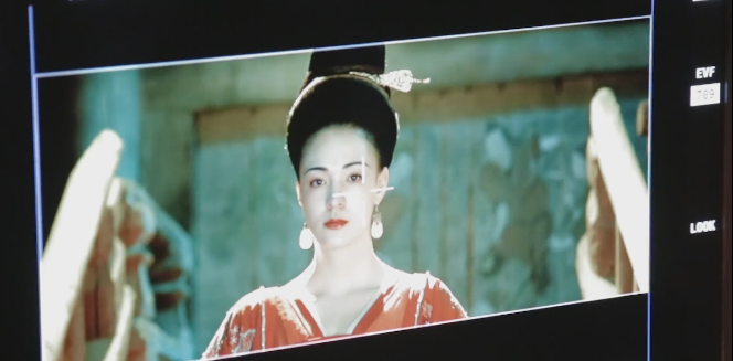 Snzzz-妖猫传.张榕容[自截,]