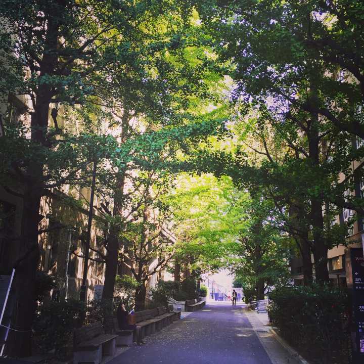 早稻田大学