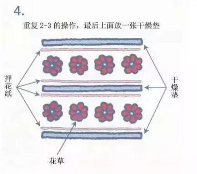 压花教程