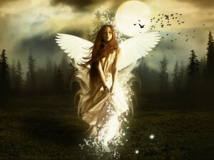 男频.玄幻.封面.底图.素材.人物.古风.剑.精灵.魔幻.原画