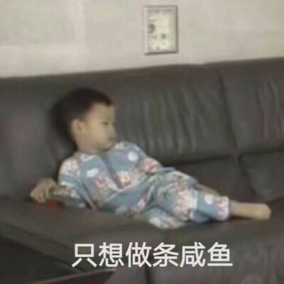 我最近太懒了 但是你们要相信我爱你们