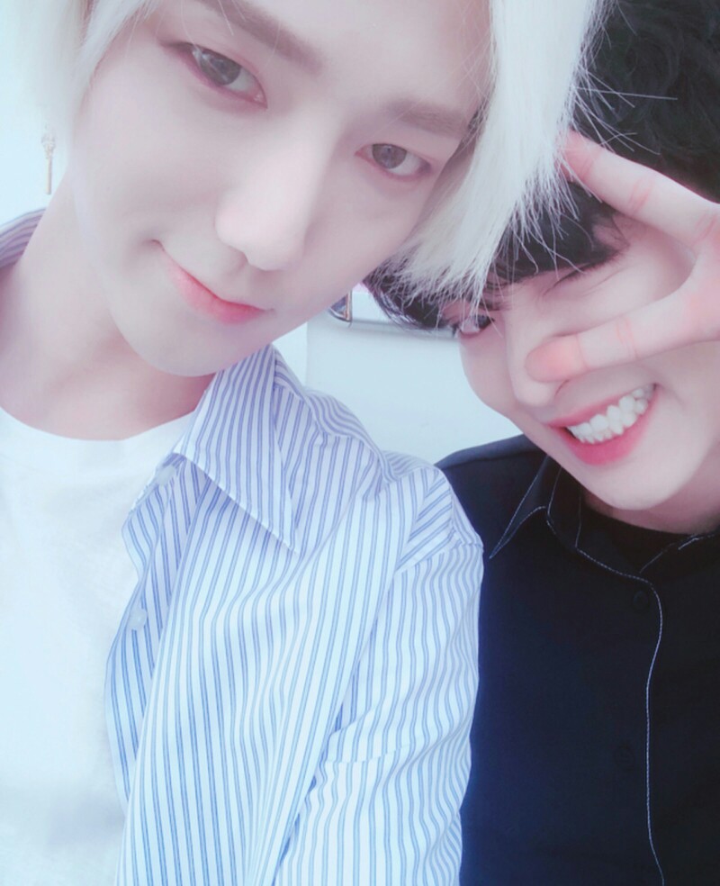 Super Junior 金钟云 艺声 EXO 朴灿烈