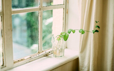 安静清新摄影文艺美好