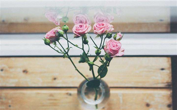 安静清新摄影文艺美好