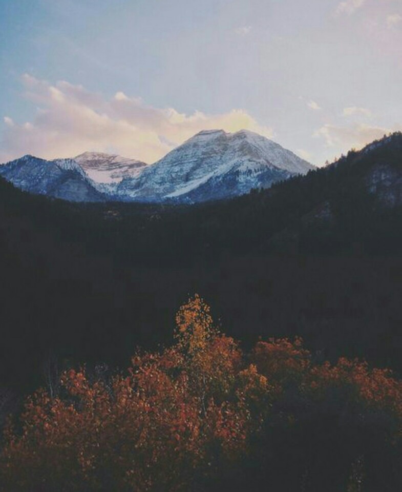 背景图 名片背景 说说配图