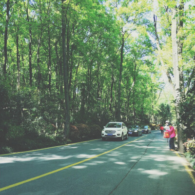 2018-4-7
南京中山陵