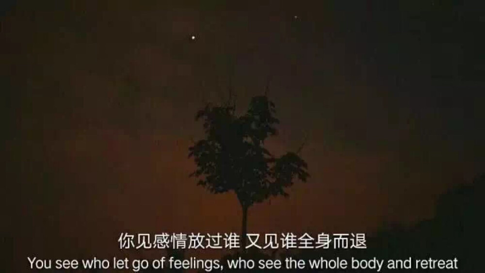 你见过感情放过谁，又见谁能全身而退